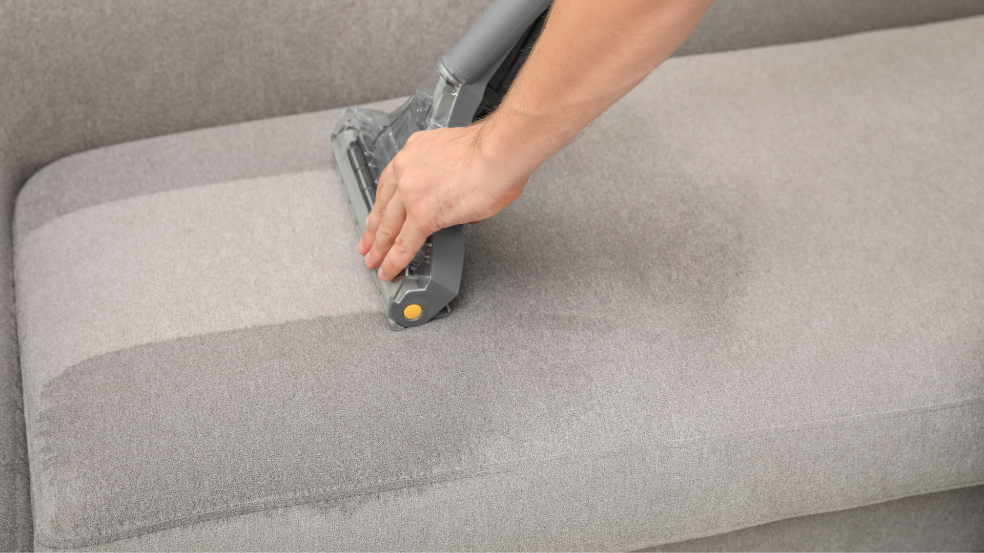 Cleaning Sofas and Upholstery: Pet Hair and Stain Removal Tips