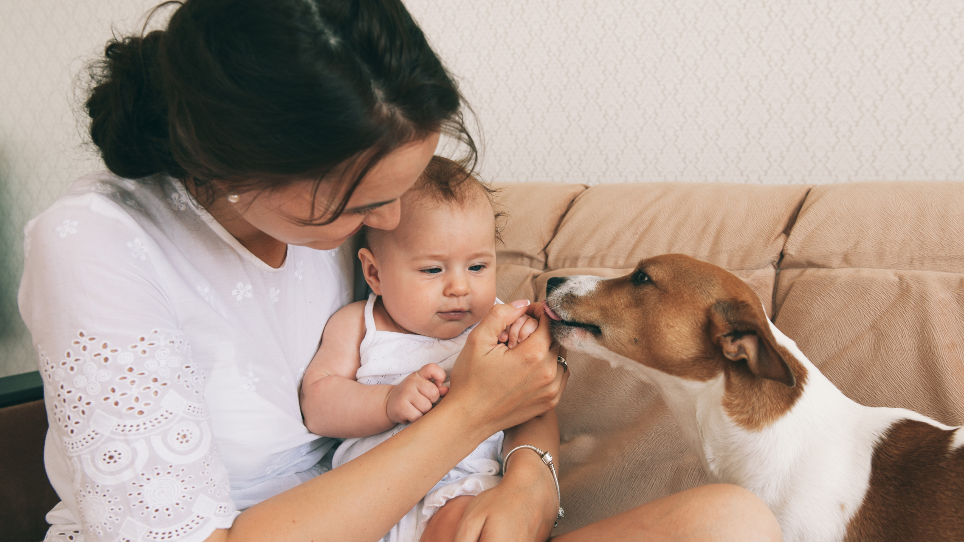 Creating Harmony: Cleaning Tips for Homes with Babies and Pets