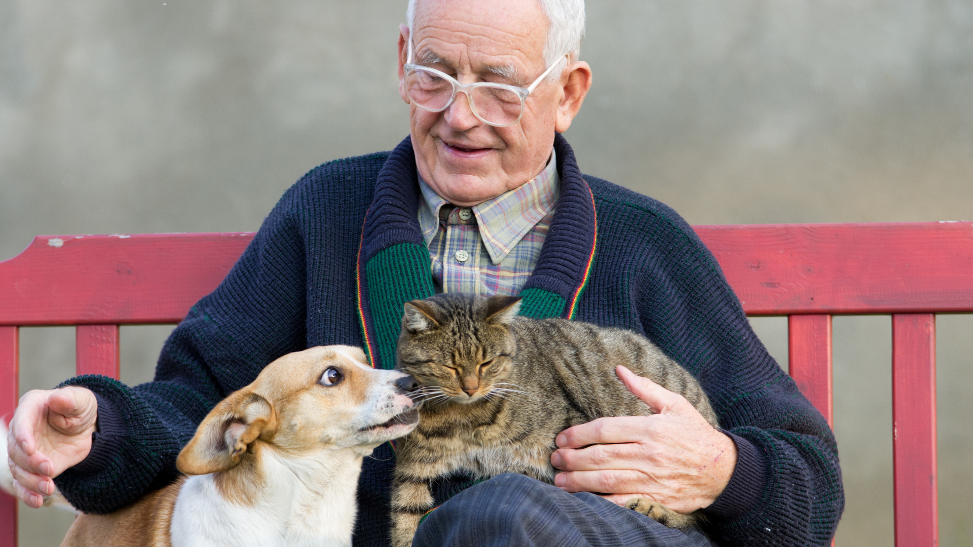 Caring for Pets in Homes with Elderly Residents: Cleaning Considerations