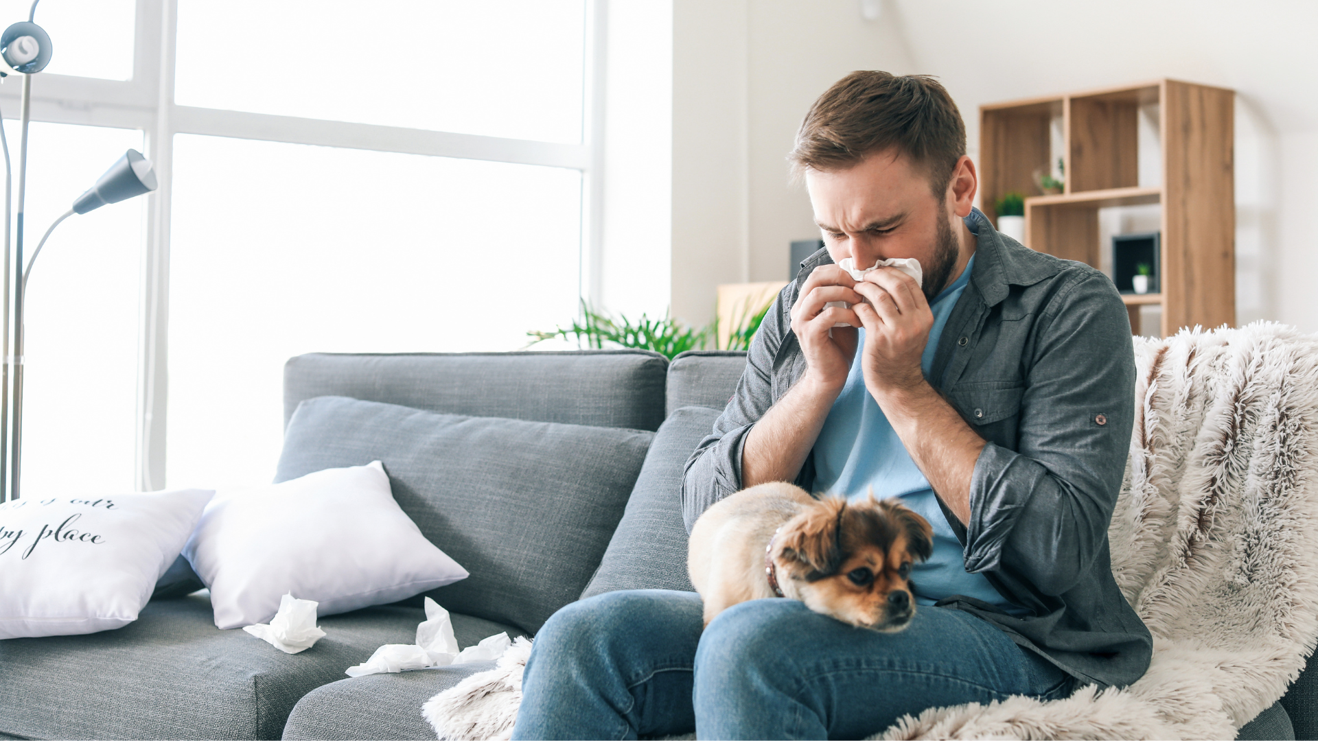 Managing Allergies: Cleaning Strategies for Pet Owners in Allergen-Sensitive Homes