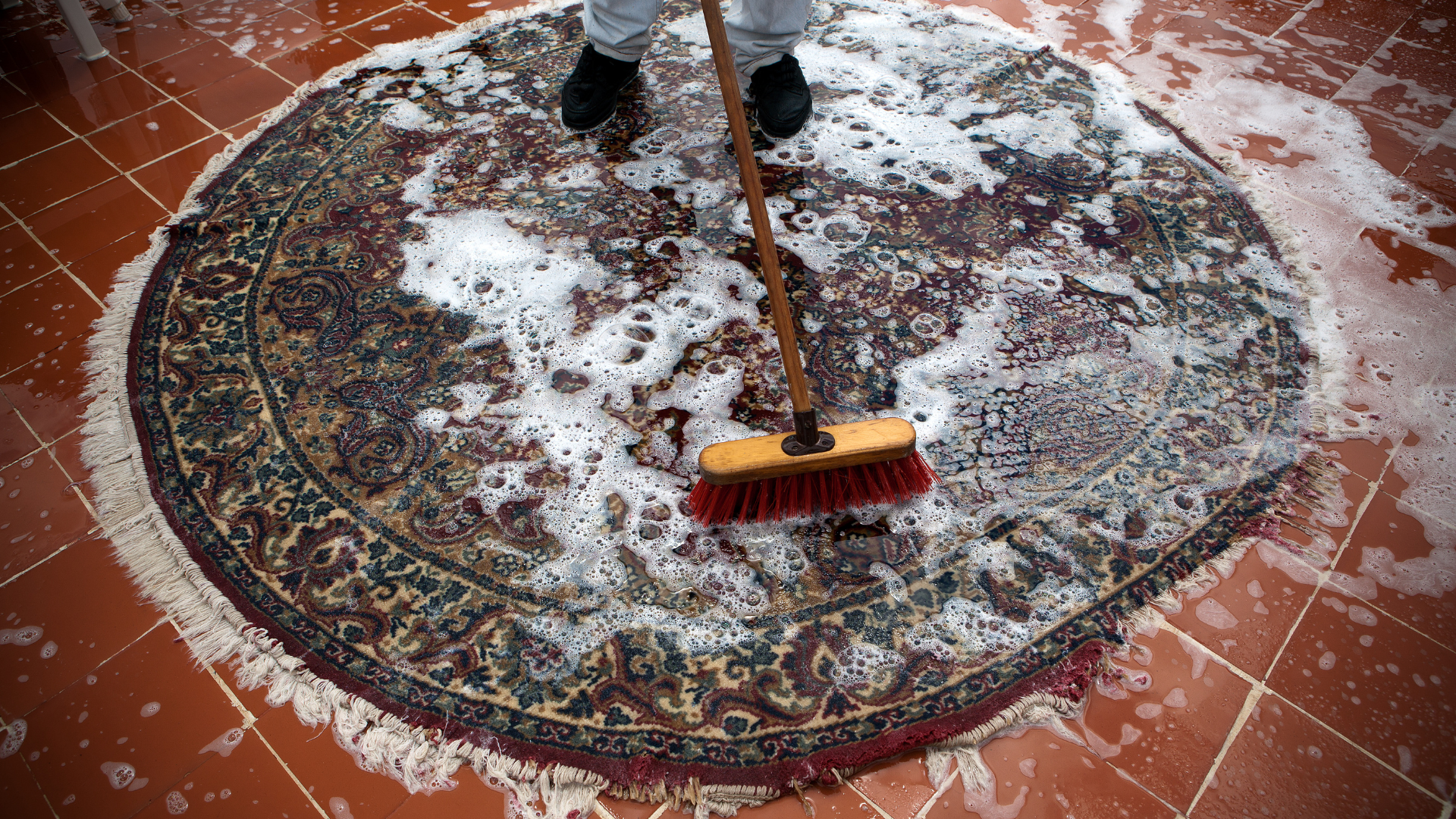 Oddly Satisfying Carpet Cleaning ASMR Videos: Why We Can't Get Enough?