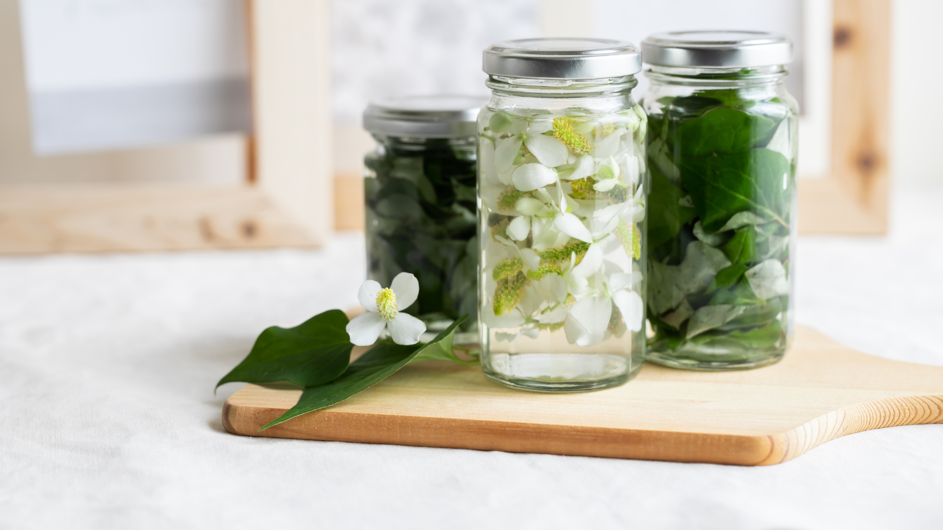 Cleanest Dishwasher Pods for Sparkling Dishes