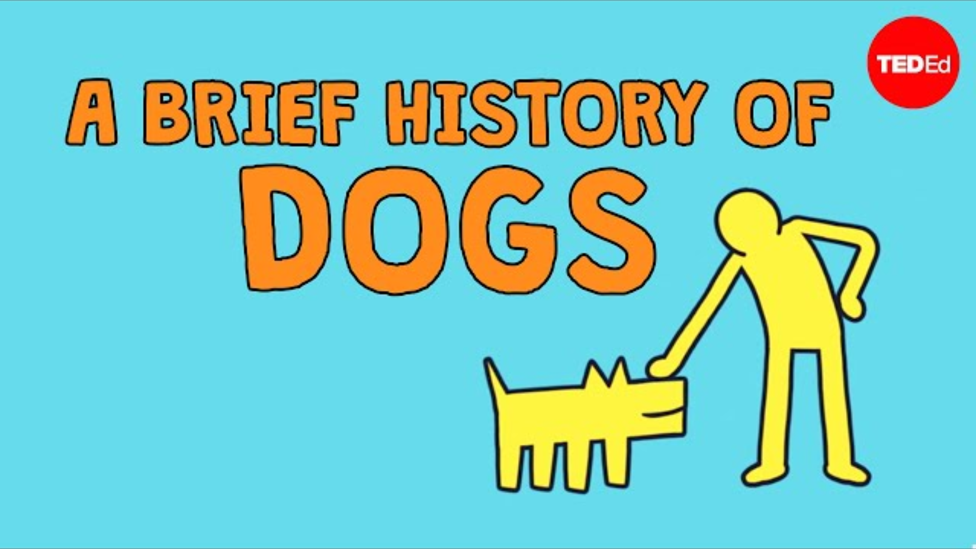 A Brief History of Dogs