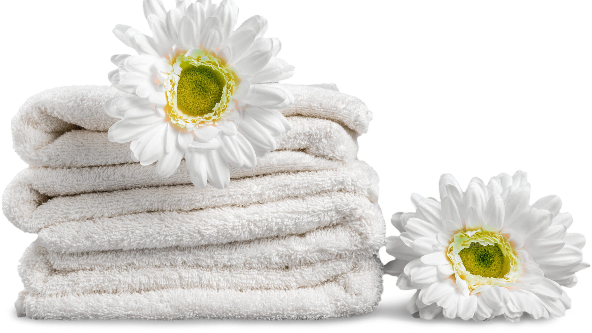 Top Laundry Products for Eco-Friendly Homes